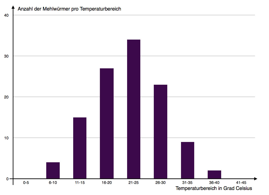 Darstellung der Ergebnisse einer Temperaturorgel als Säulendiagramm
