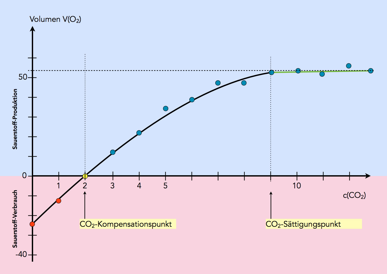 Abhängigkeit der Photosyntheserate von der CO2-Konzentration
