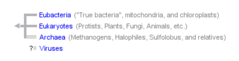 Eubacteria, Eukaryotes, Archaea, Viruses