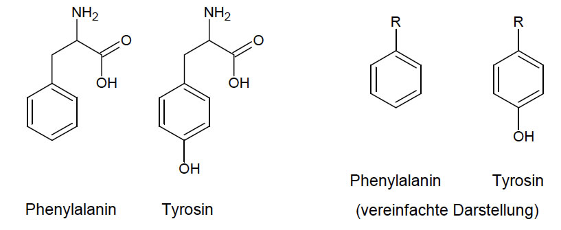 Strukturformeln von Phenylalanin und Tyrosin sowie die vereinfachte Darstellung, damit auch jeder merkt, dass Tyrosin eine zusätzliche OH-Gruppe hat.