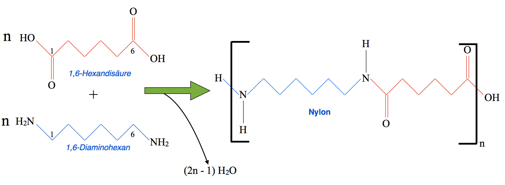 Bildung von Nylon durch Polykondensation