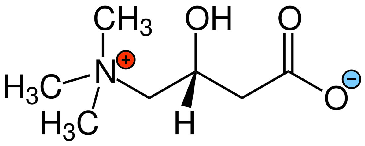 Strukturformel von Carnitin (Zwitterion)