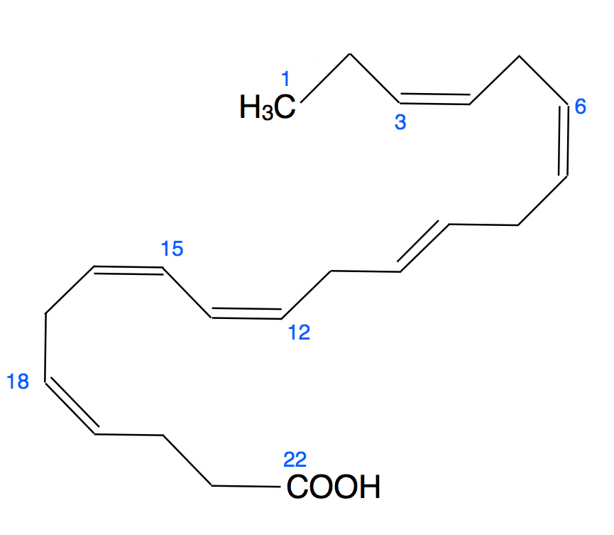 Strukturformel der Docosahexaensäure aus der Wikipedia