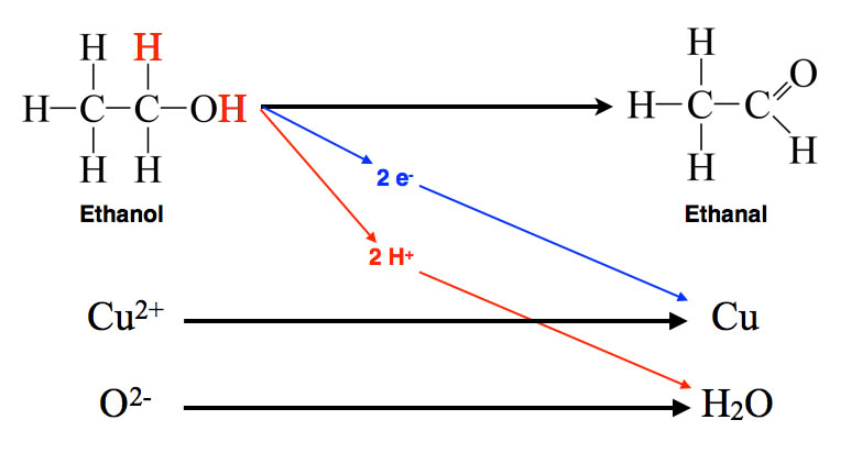 Ethanol (oben) gibt zwei Elektronen und zwei Protonen ab. Die Elektronen gelangen zu den Kupfer(II)-Ionen und reduzieren diese zu Kupfer, whrend die Protonen zum Sauerstoff-Anion des Kupferoxids gelangen und mit diesem zu einem Wasser-Molekl reagieren. Ethanol wird so zu Ethanal oxidiert, Kupferoxid zu Kupfer und Wasser.