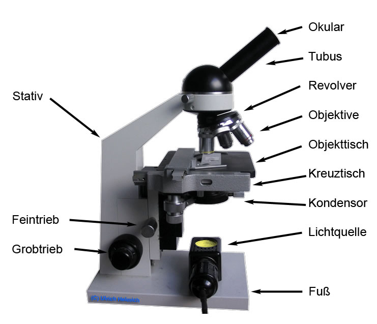 Lichtmikroskop mit Beschriftung