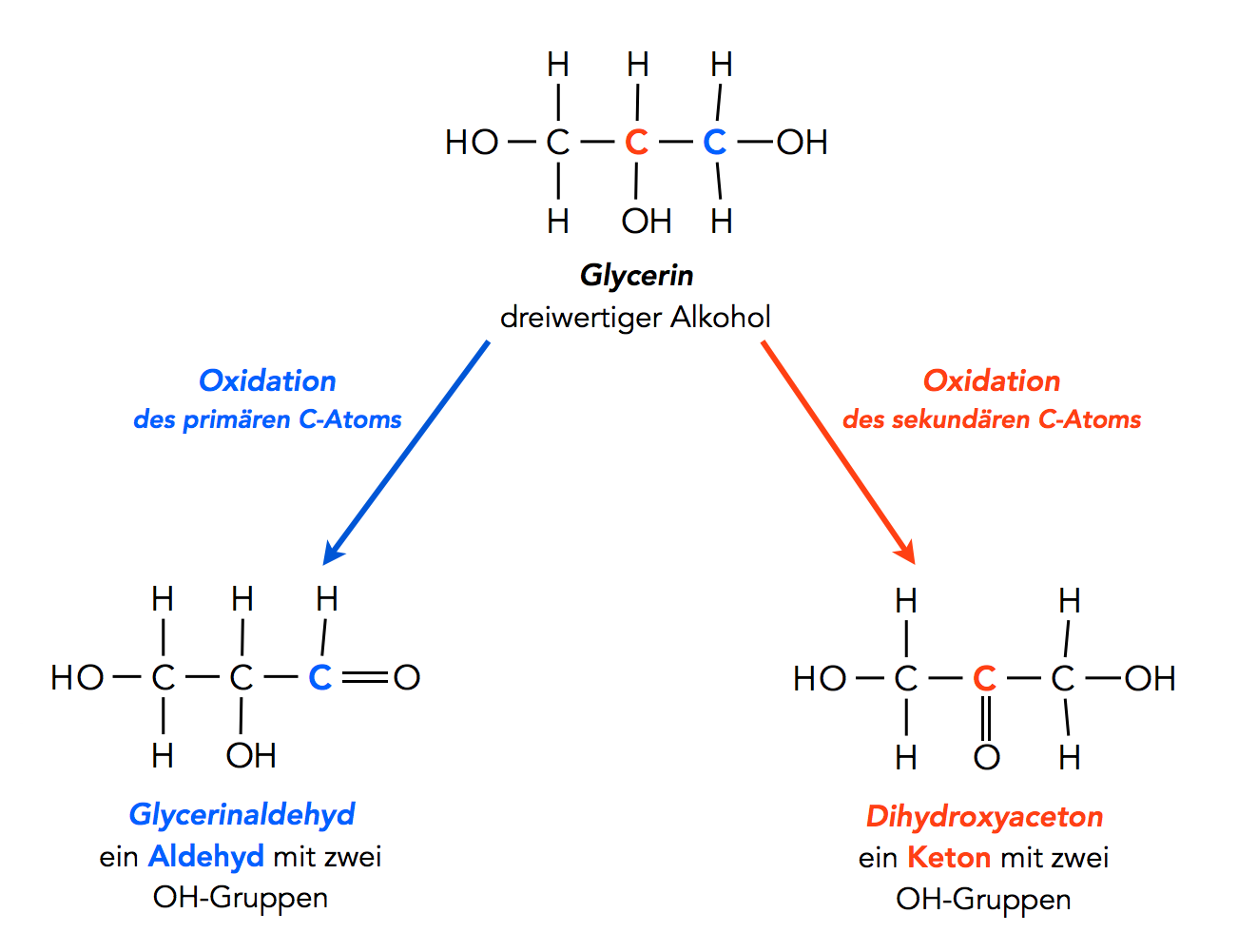 Alkohole und Monosaccharide