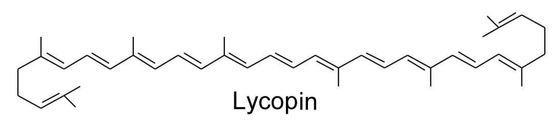 Struktur des Lycopins.