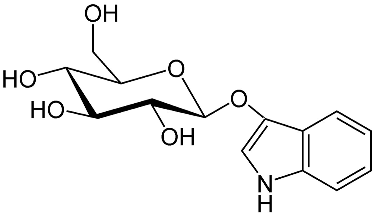 Das Indican-Molekül