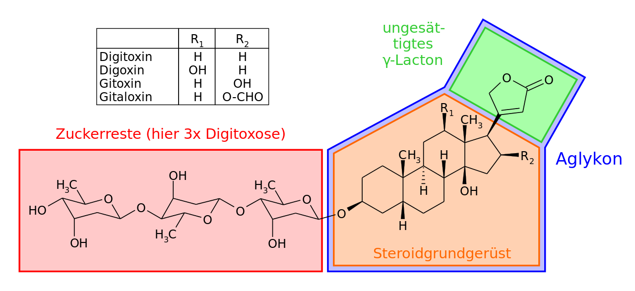 Glycoside