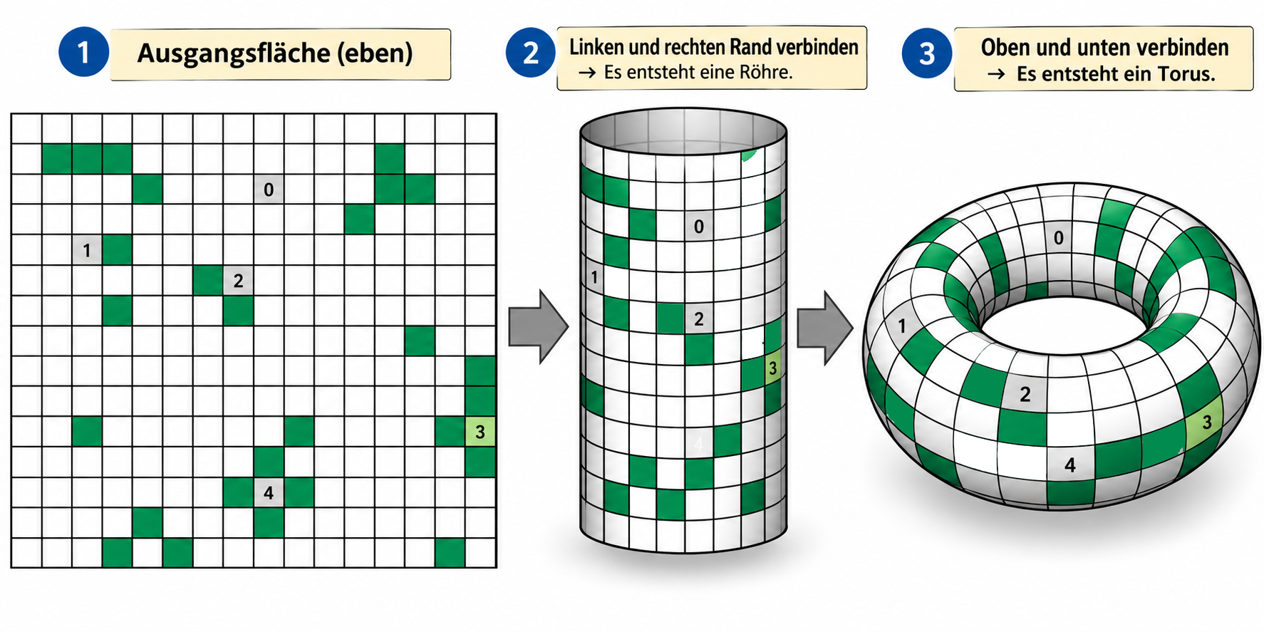 Ein Torus